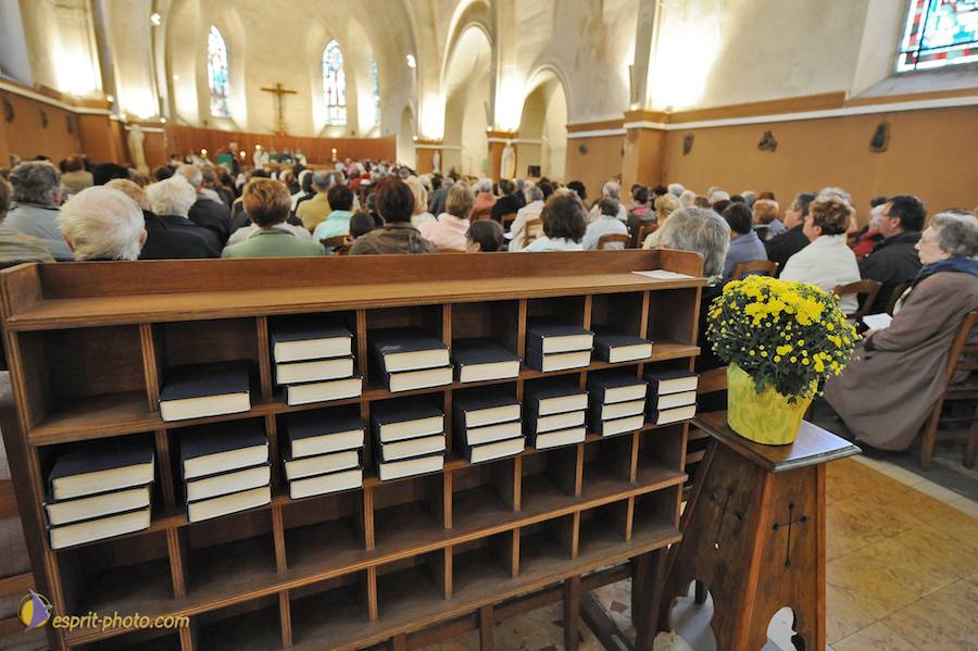 Nom de l'image : D30030901_1_(c)Norbert-JUNG — Description :